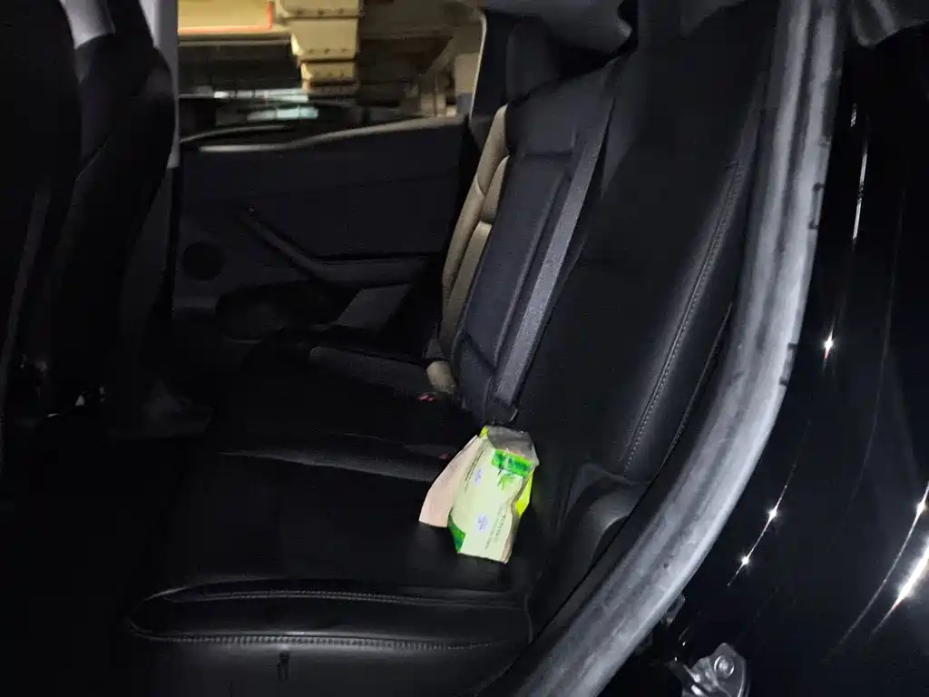 Tesla Model Y — миниатюра 15
