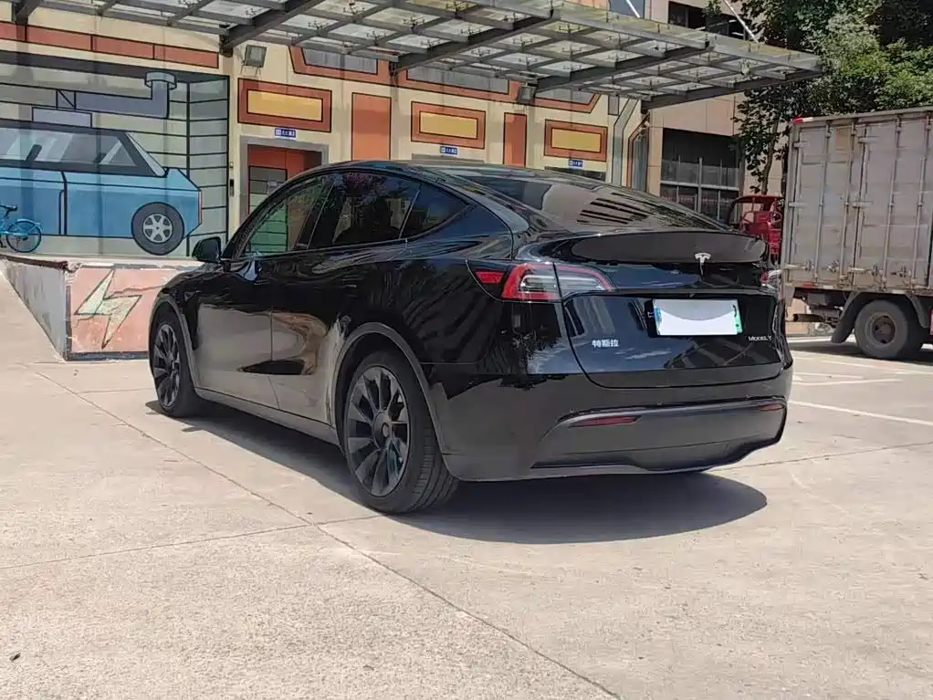 Tesla Model Y — миниатюра 15
