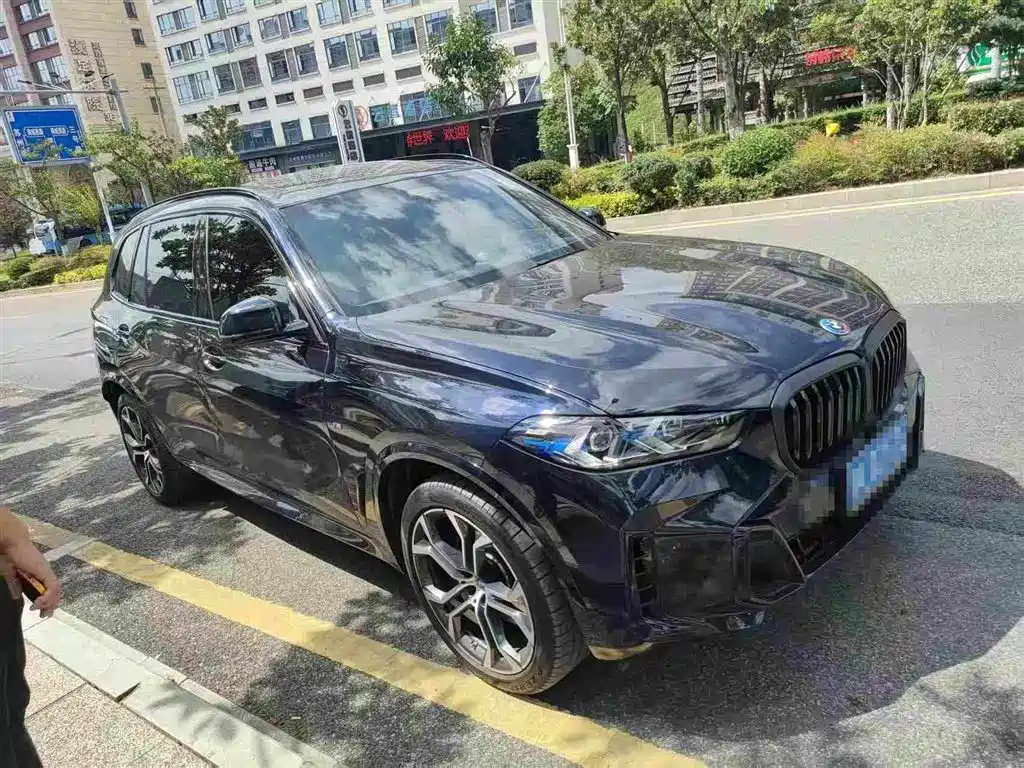 BMW X5 — миниатюра 2
