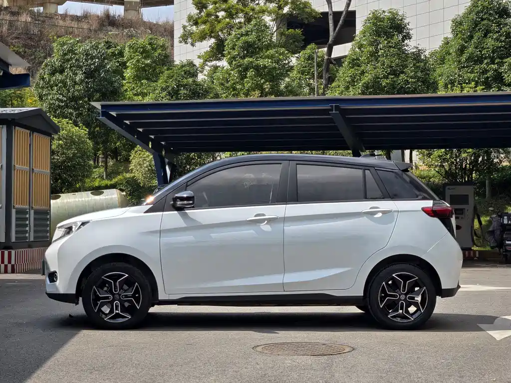 Dongfeng EV YOUNG Guang Xiaoxin — миниатюра 5