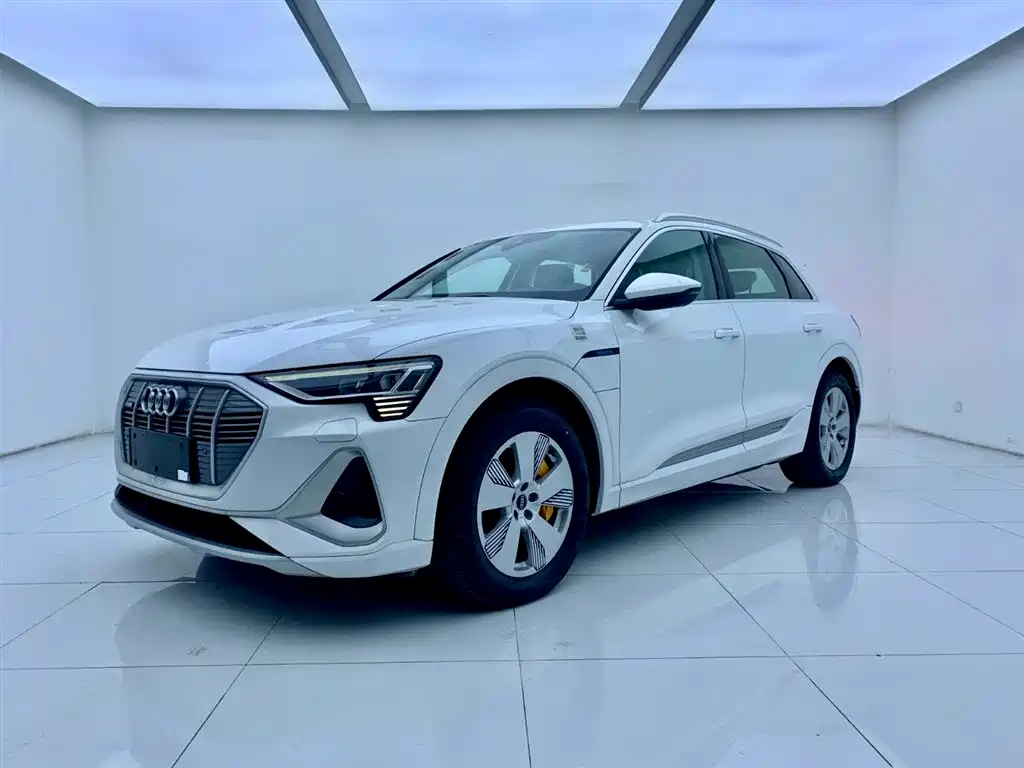 Audi e-tron 2021 50 quattro Luxury