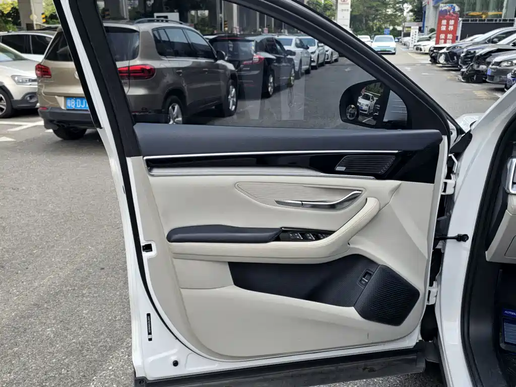 BYD PLUS New Energy — миниатюра 4