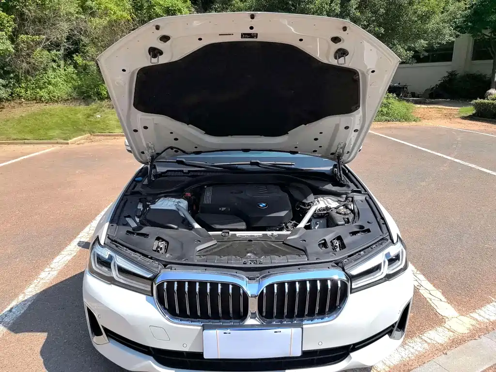 BMW 5 Series — миниатюра 11