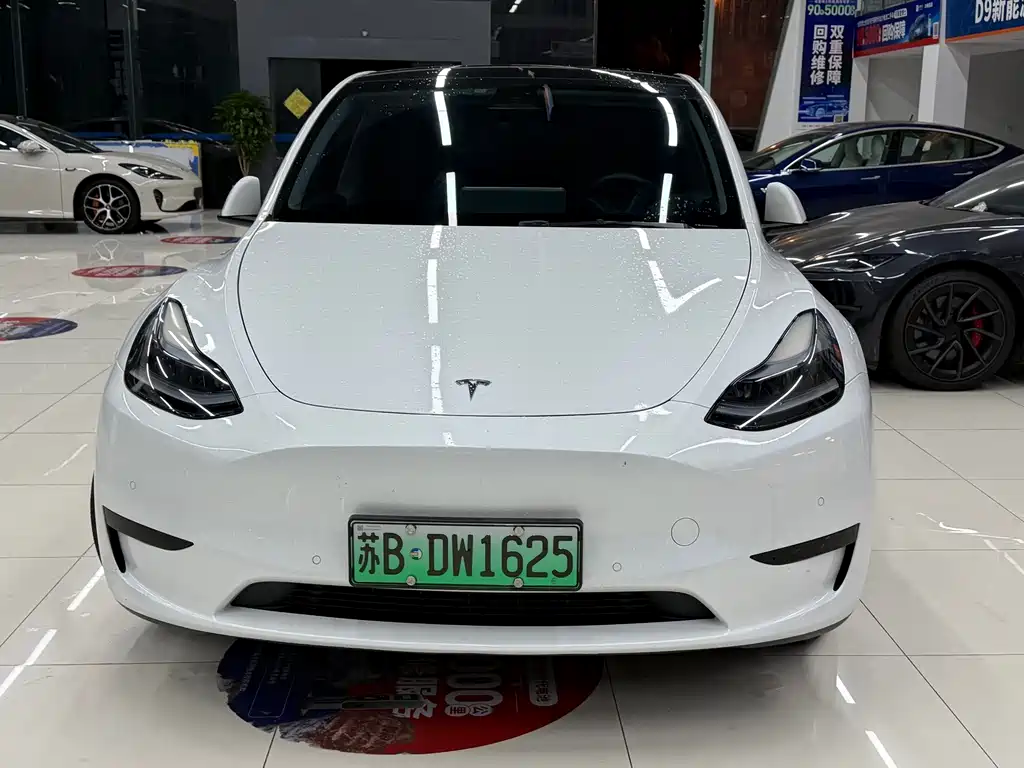 Tesla Model Y — миниатюра 2