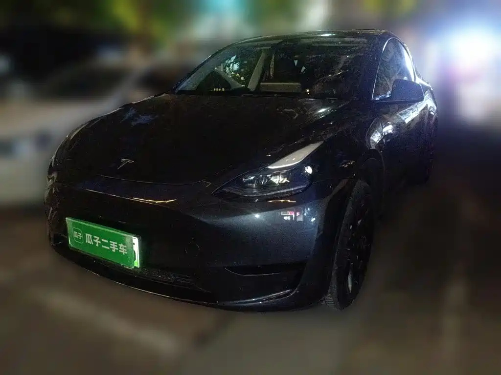Tesla Model Y — миниатюра 2