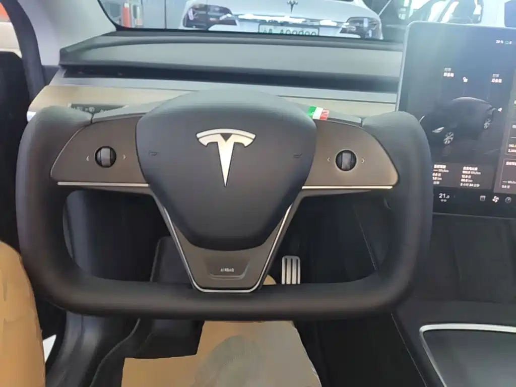 Tesla Model Y — миниатюра 11