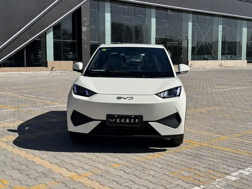 BYD Seagull 2025 Smart Drive 305km
