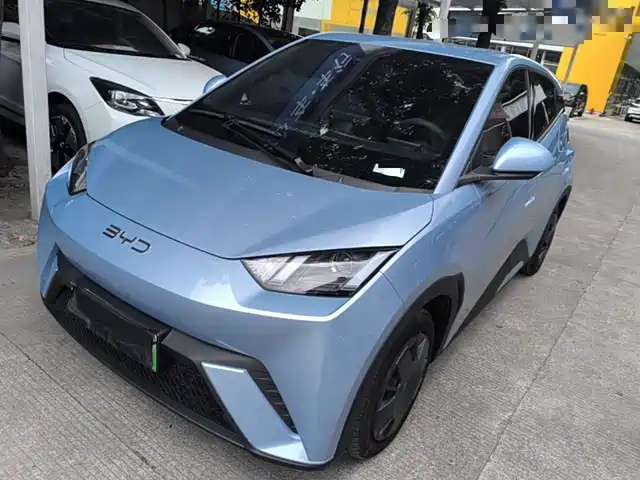 2025 BYD Seagull