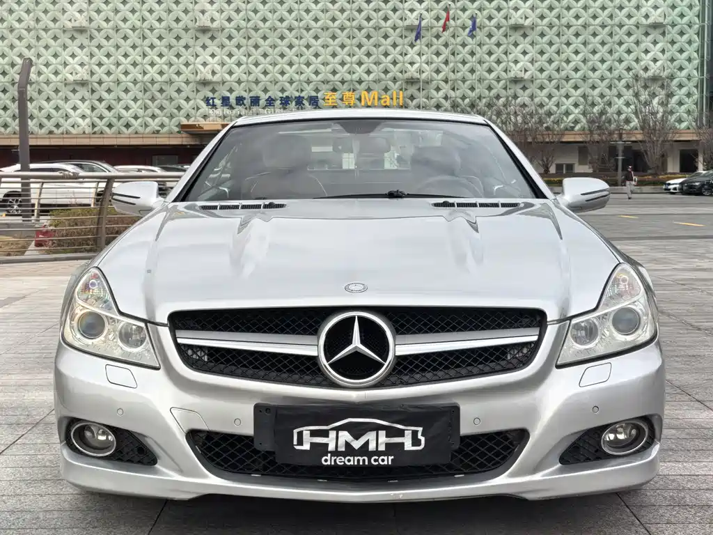 Mercedes-Benz SL 2010 SL 300