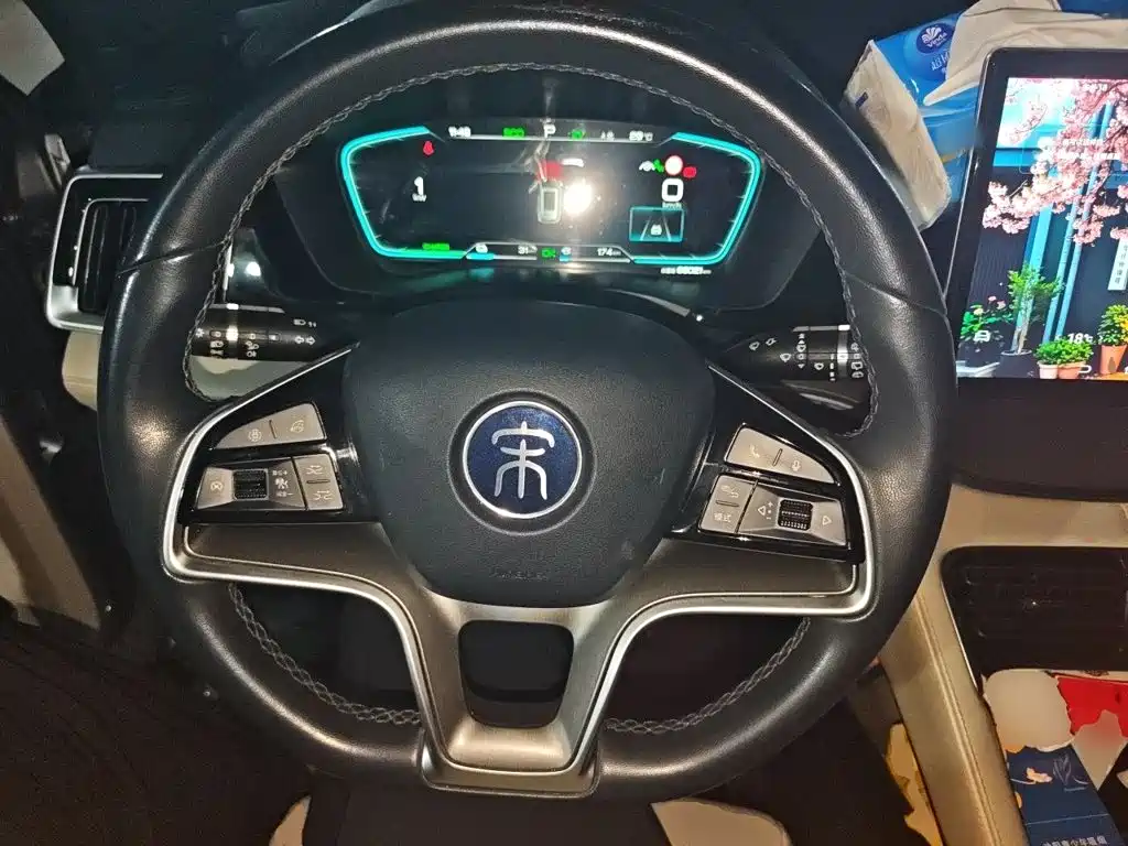 BYD PLUS New Energy — миниатюра 11