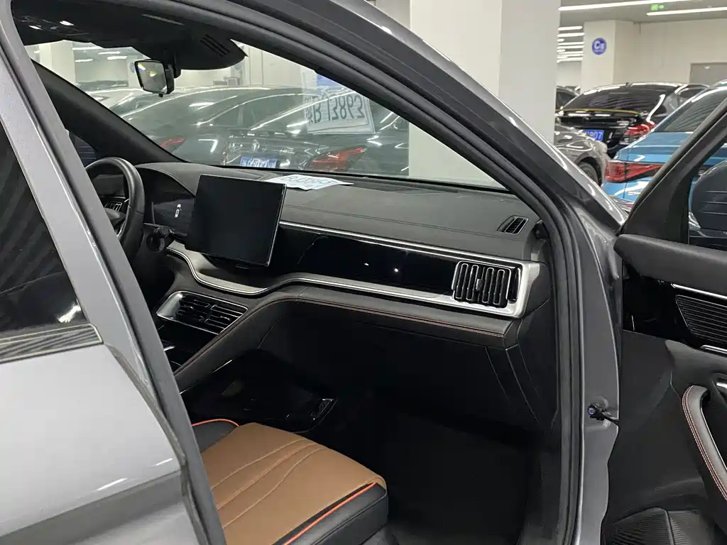 BYD PLUS — миниатюра 11