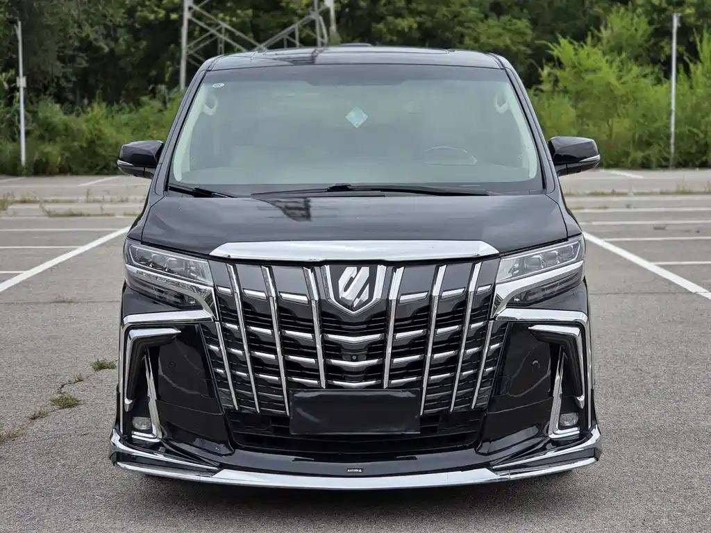 Toyota Alphard — миниатюра 2