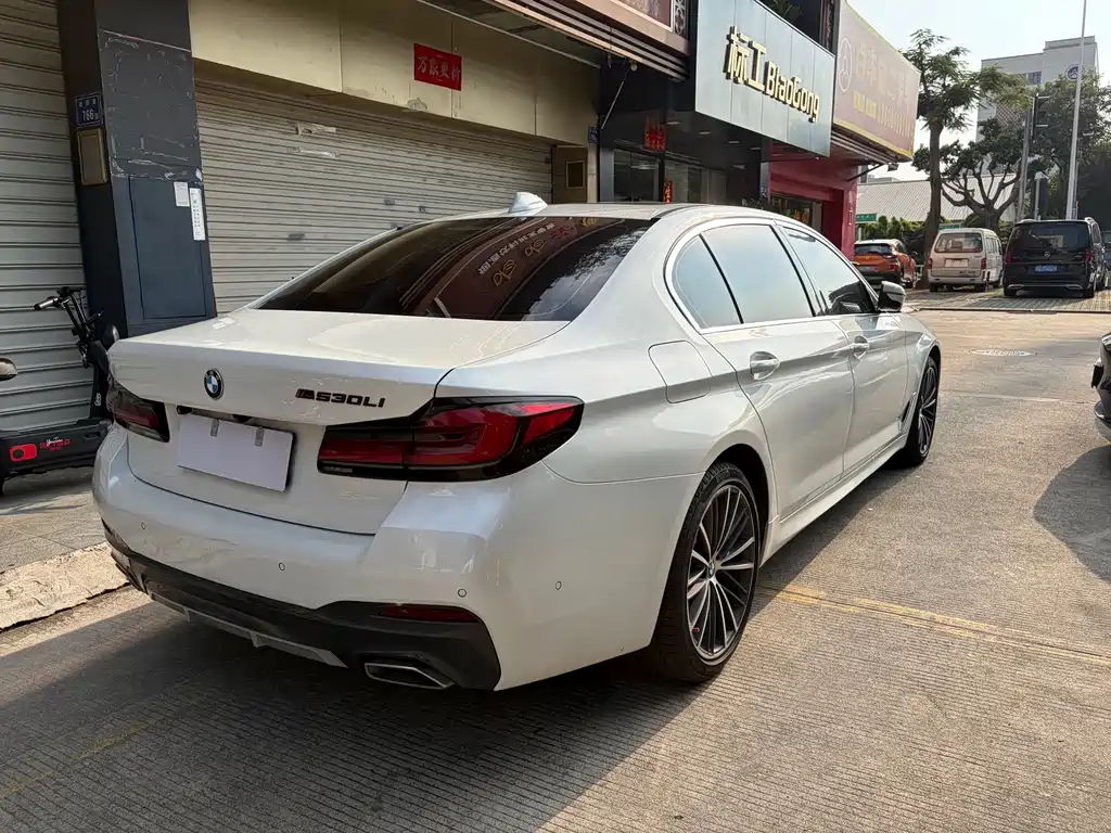 BMW 5 Series — миниатюра 5
