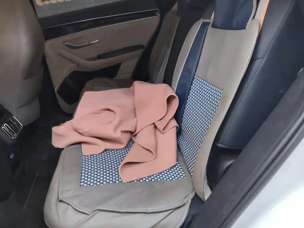 BYD PLUS New Energy — миниатюра 13