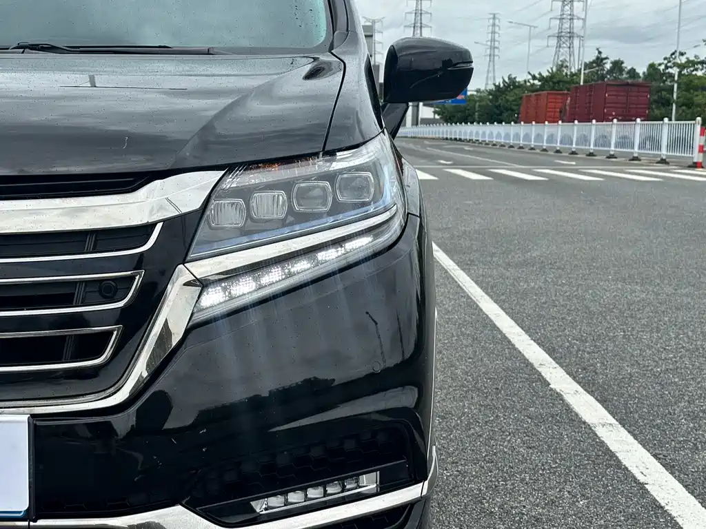 Honda Elysion 2.0L Hybrid Supreme Edition, фото 4
