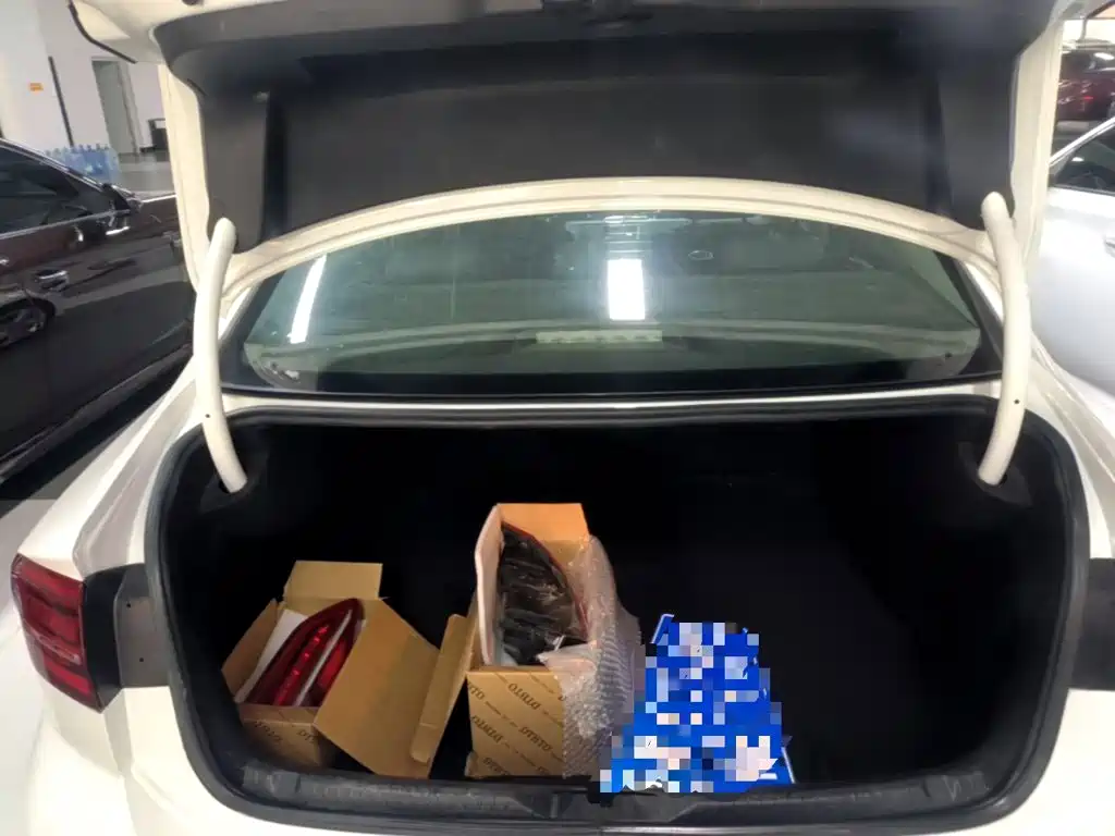 Volkswagen Lamando — миниатюра 19