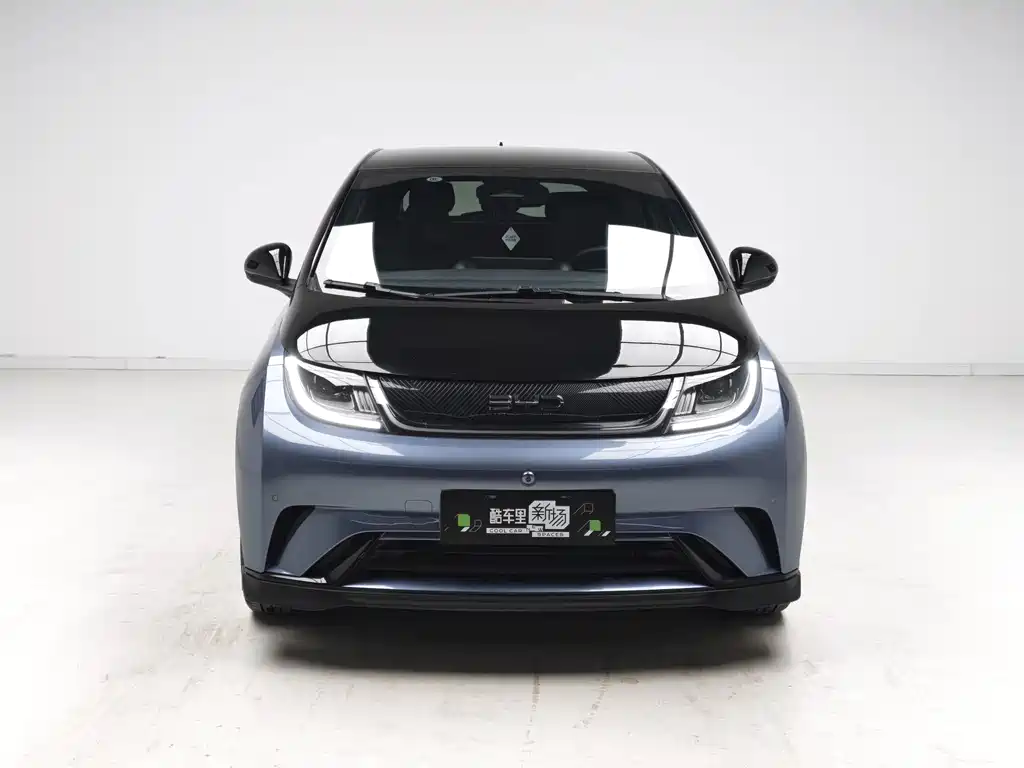 BYD Dolphin — миниатюра 2