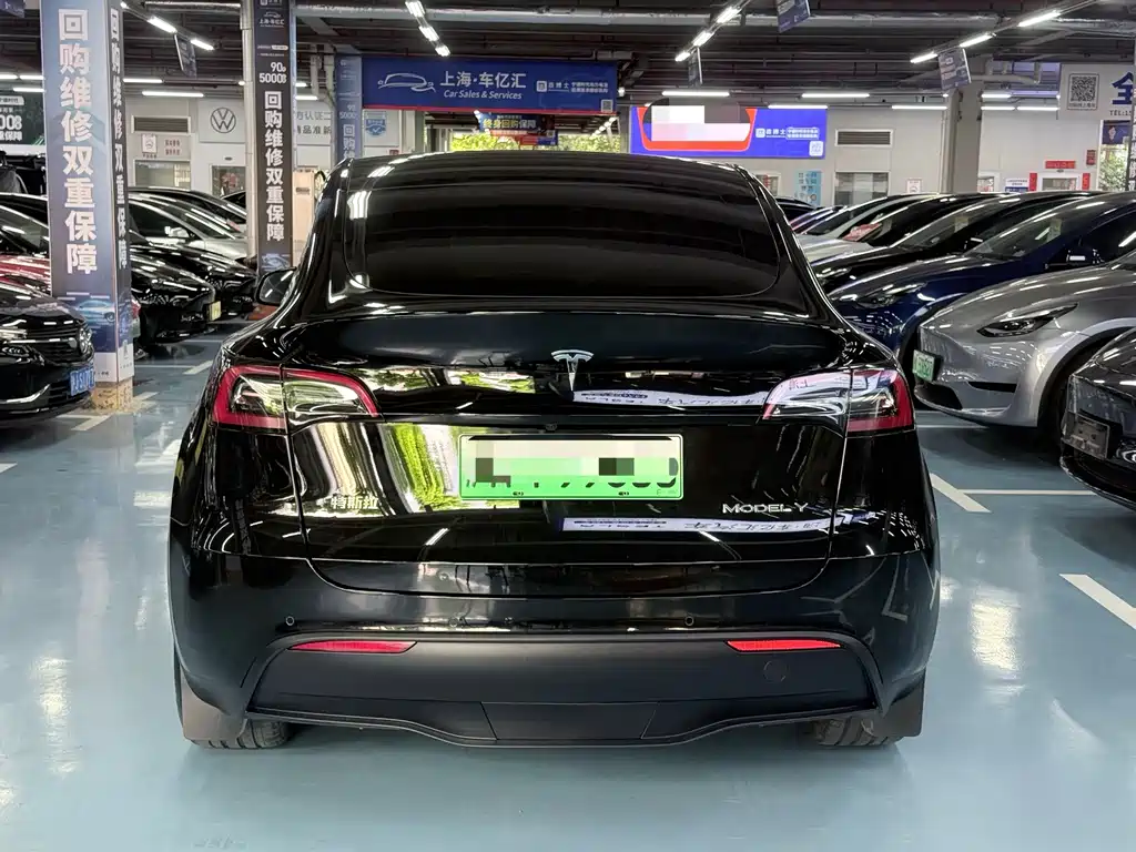 Tesla Model Y — миниатюра 6
