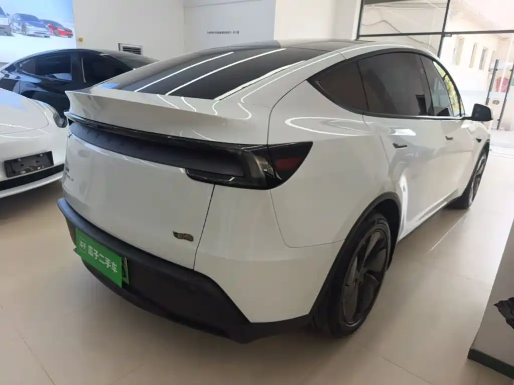 Tesla Model Y — миниатюра 7