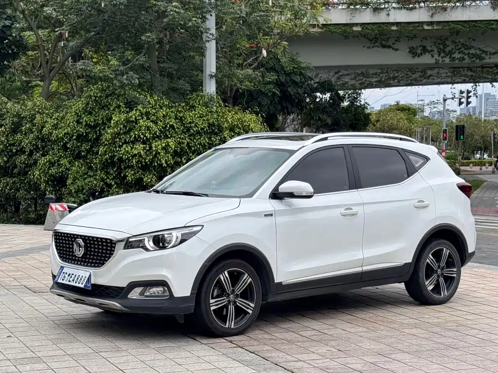 Mg ZS 2018
