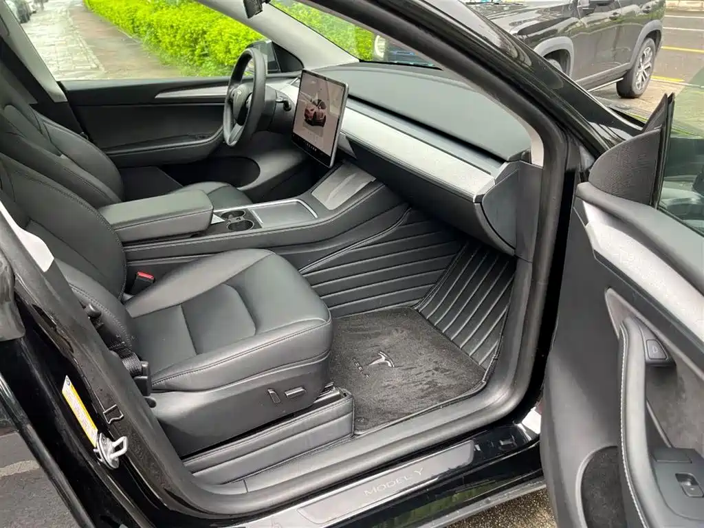 Tesla Model Y — миниатюра 12