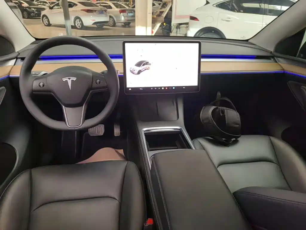 Tesla Model Y — миниатюра 10