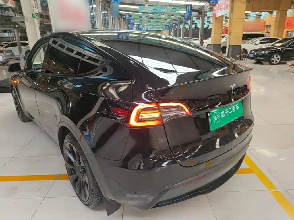 Tesla Model Y — миниатюра 5