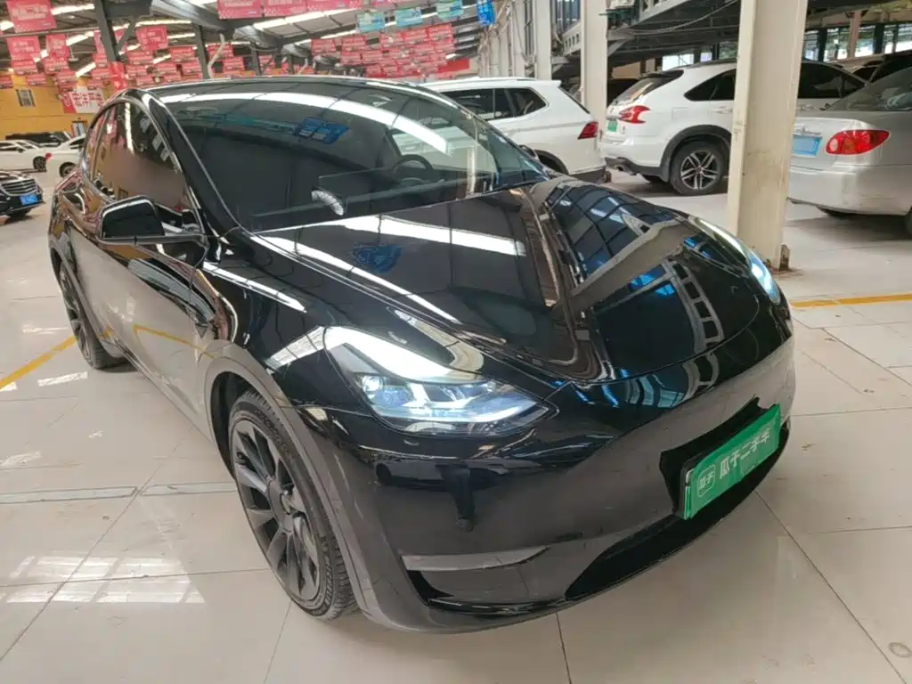 Tesla Model Y — миниатюра 4