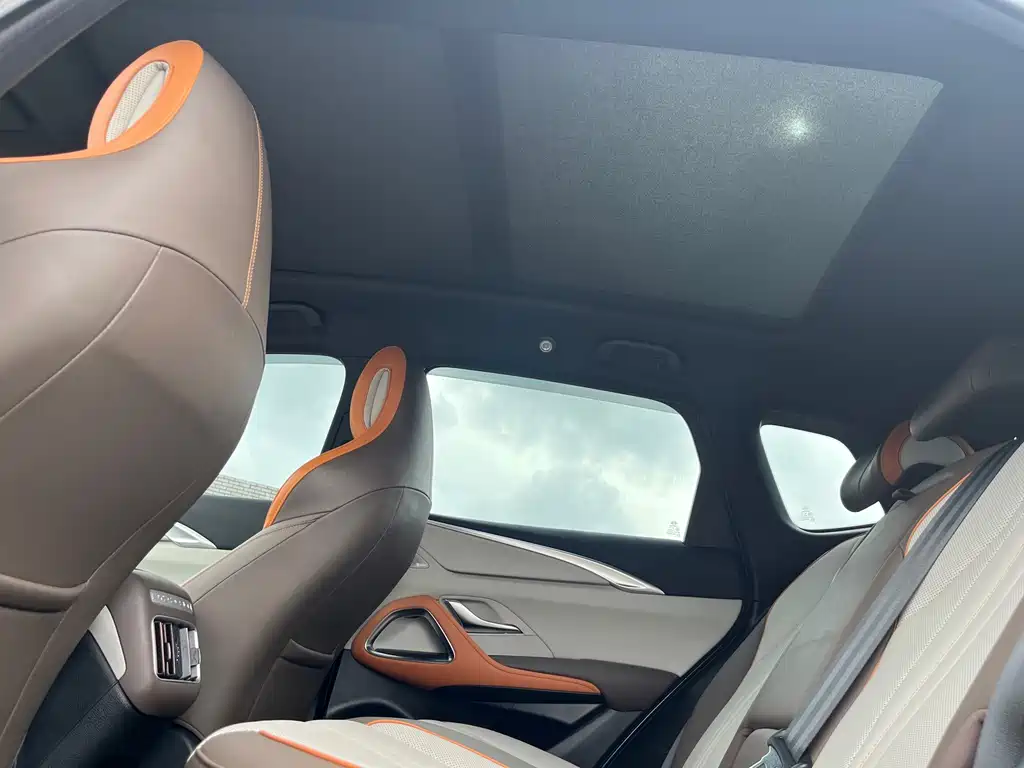 BYD Pro New Energy — миниатюра 14