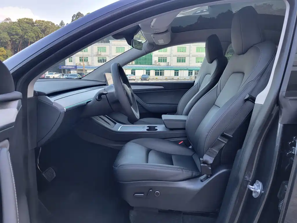 Tesla Model Y — миниатюра 6