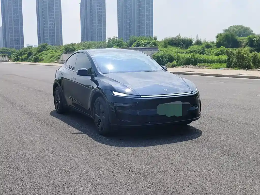 Tesla Model Y — миниатюра 3