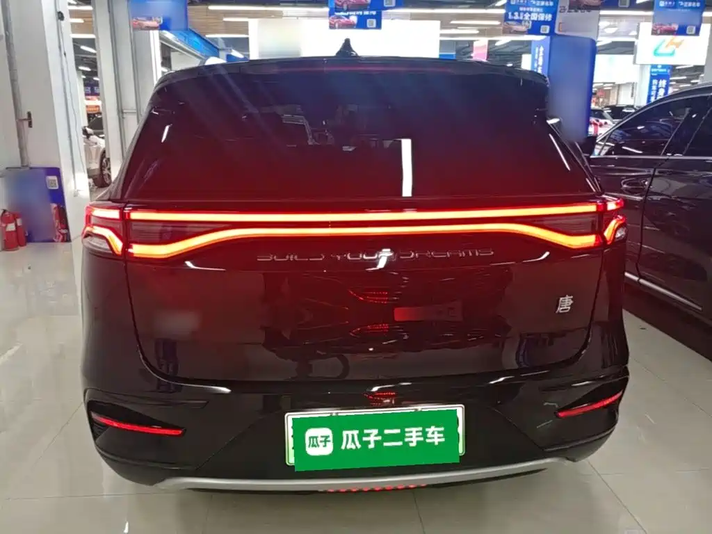 BYD Tang New Energy — миниатюра 6