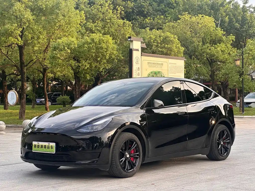 Tesla Model Y — фотографии объявления, Фото 2