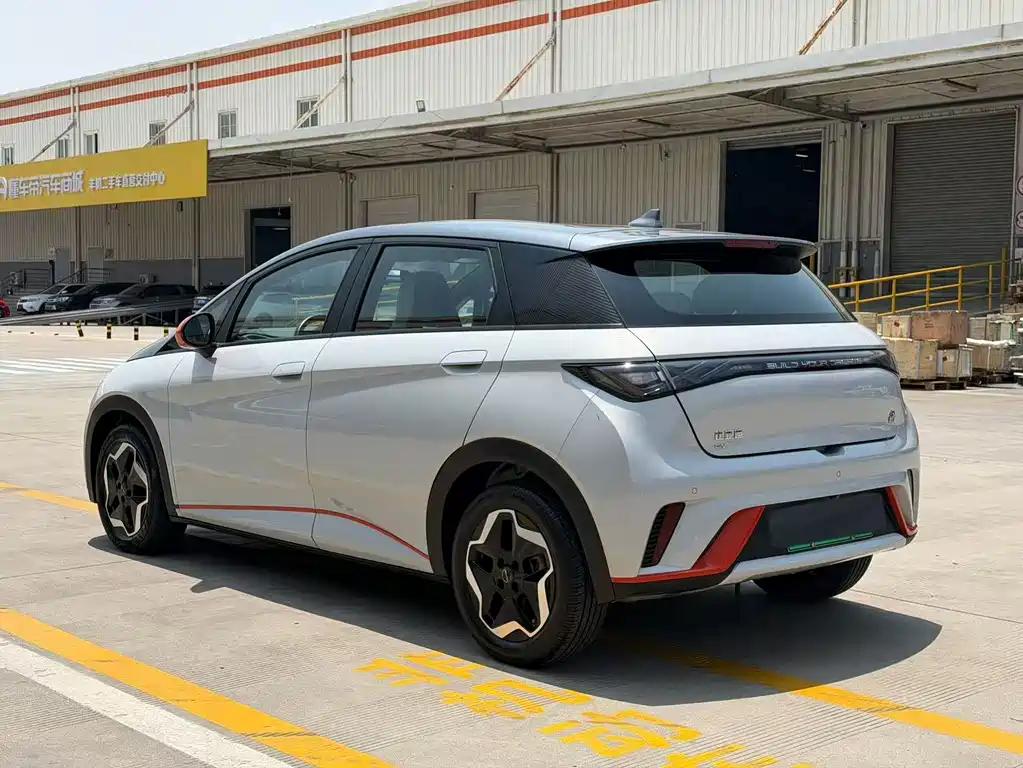 BYD Dolphin 2021 405km Freedom