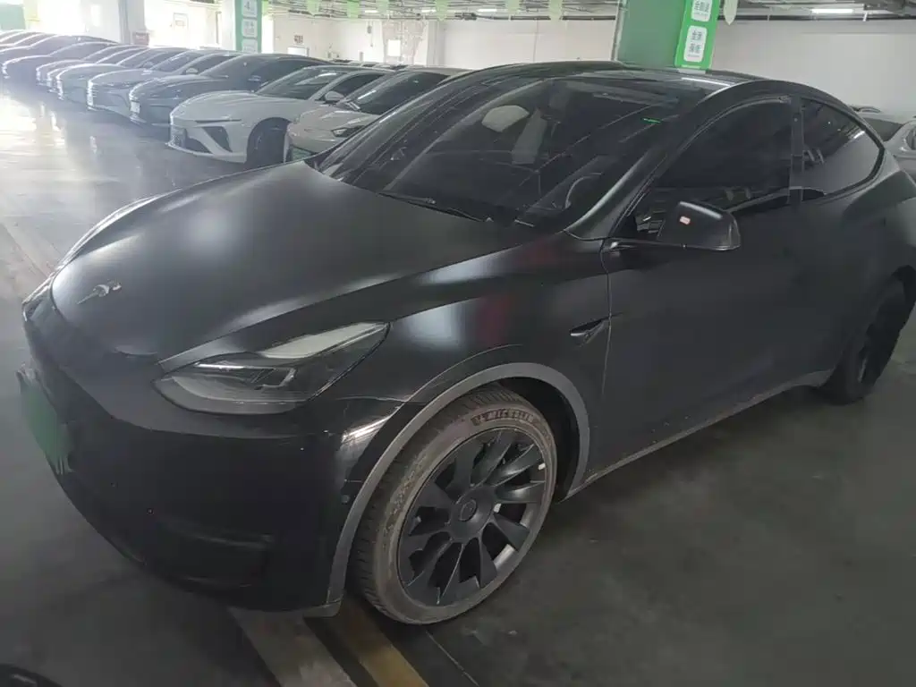 Tesla Model Y — миниатюра 2
