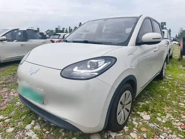 2023 Wuling Motors Binguo