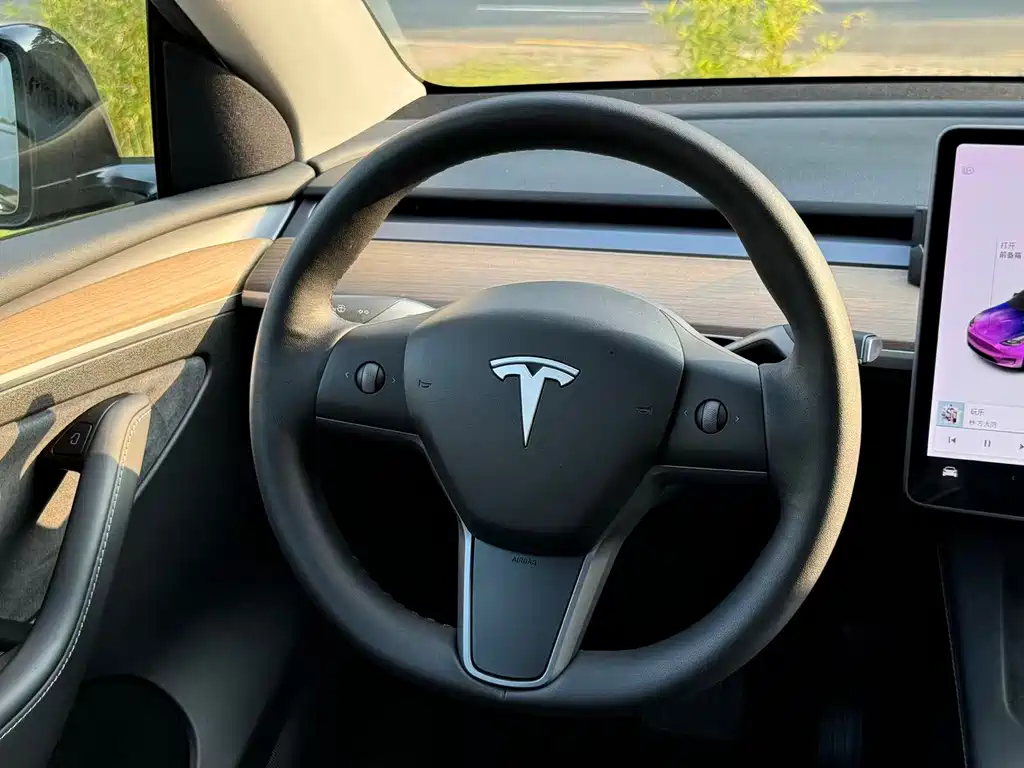 Tesla Model Y — миниатюра 6