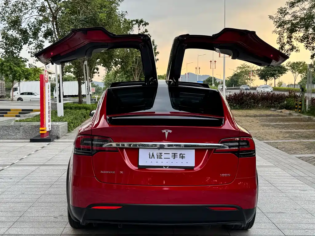 Tesla Model X — миниатюра 11