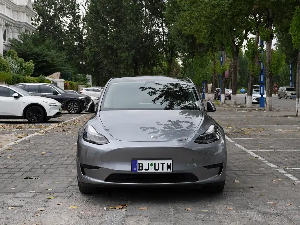 Tesla Model Y — миниатюра 2