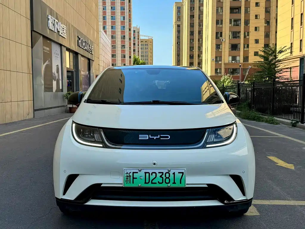BYD Dolphin — миниатюра 3