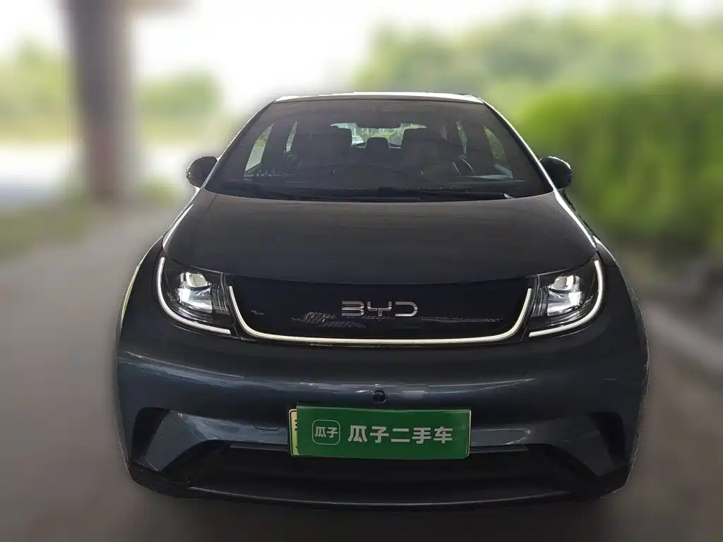 BYD Dolphin — миниатюра 2