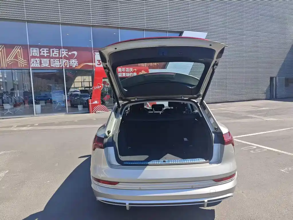 Audi e-tron — миниатюра 11
