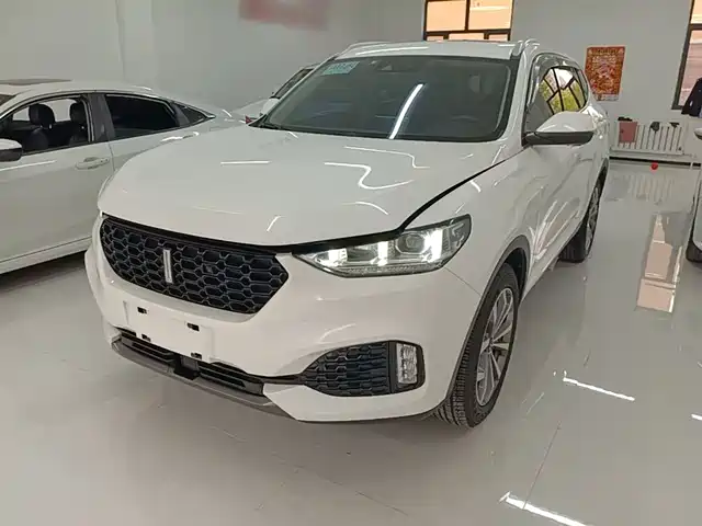 2019 Wey VV6