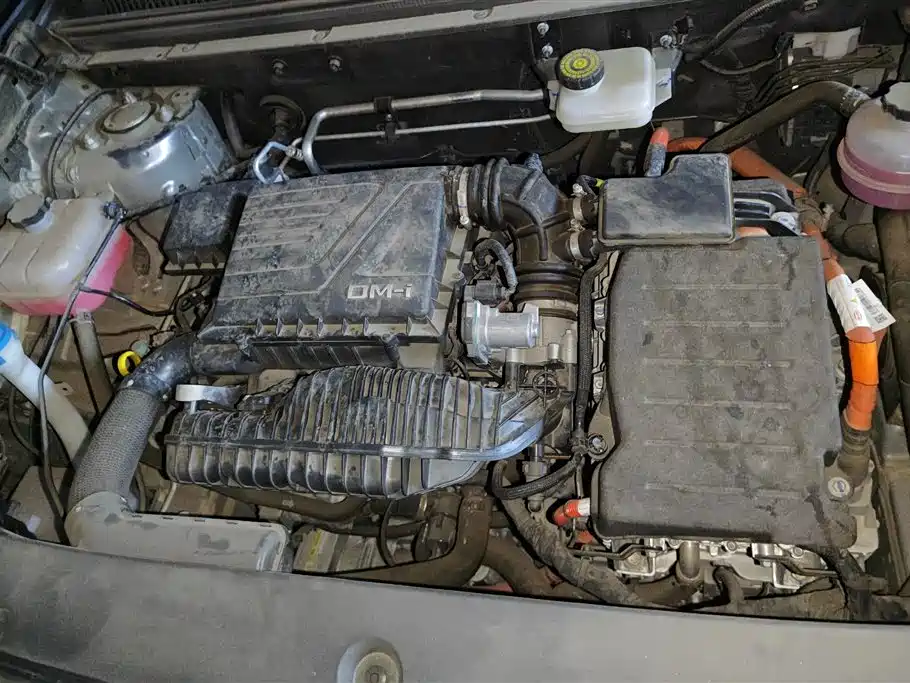 BYD SONGJIANG NEW ENERGY