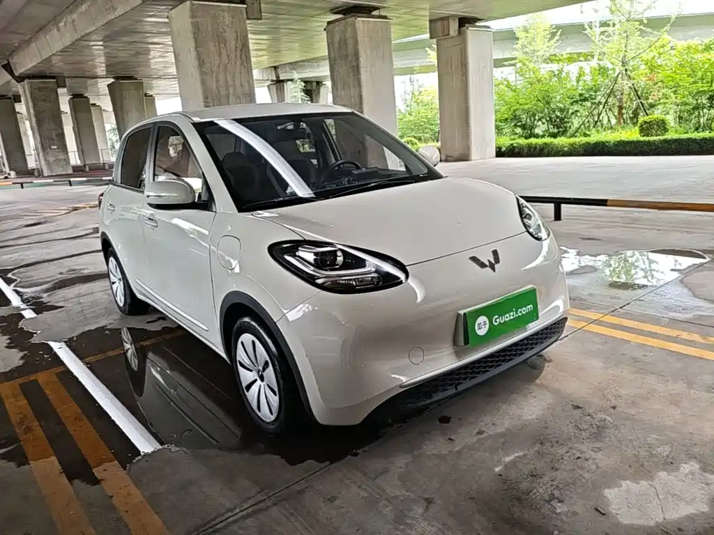 Wuling Binguo 2023 203km