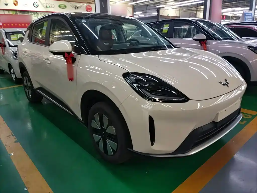 Wuling BinguoS S 2025 325km Premium