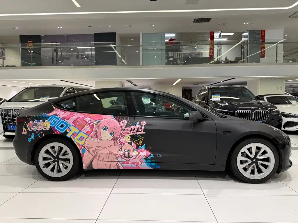 Tesla Model 3 2021 3D6