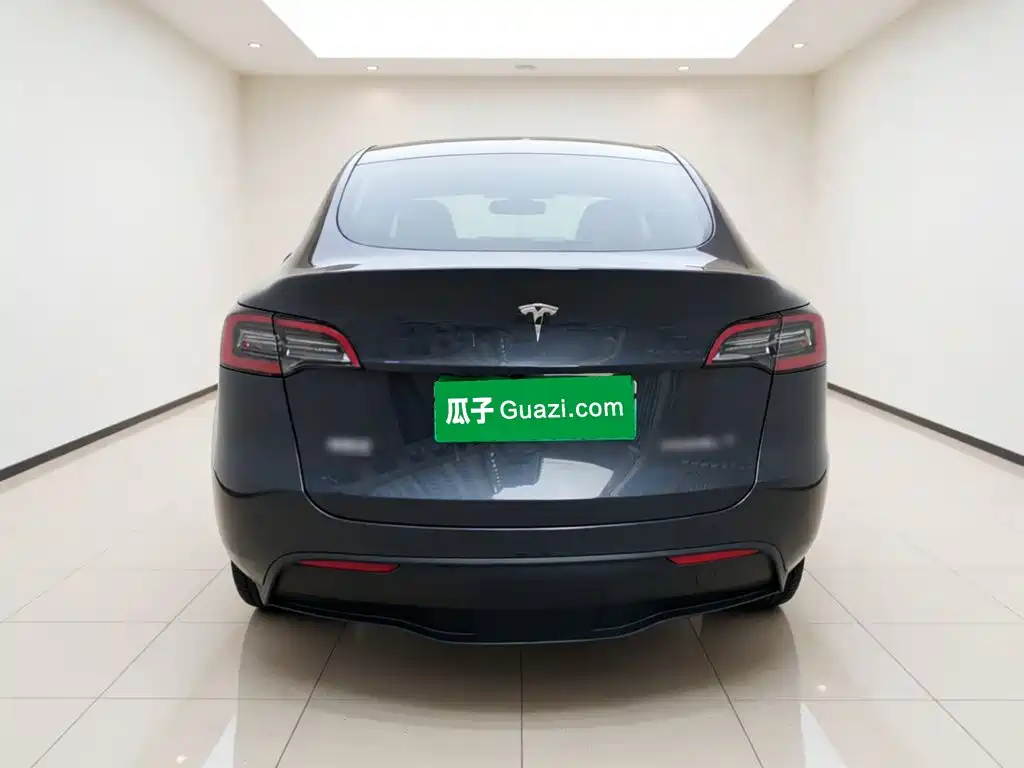 Tesla Model Y — миниатюра 5