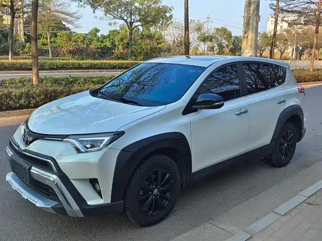 TOYOTA RAV4 RONGFANG 2019