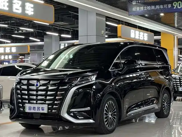 2025 Denza D9